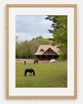 Home On The Range