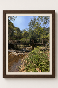 Bamboo Bridge