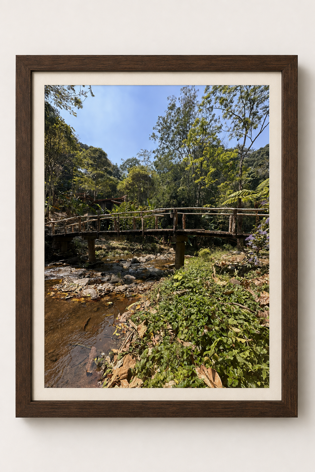 Bamboo Bridge